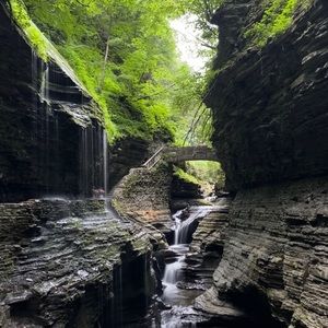 Meet your Posher, Shannon